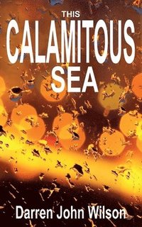 bokomslag This Calamitous Sea