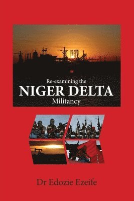 bokomslag Re-examining the NIGER DELTA Militancy