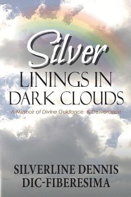 bokomslag Silver Linings in Dark Clouds