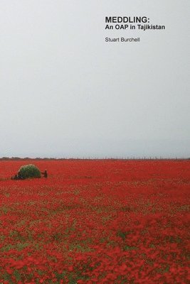 Stuart Burchell - MEDDLING: An OAP in Tajikistan, Häftad
