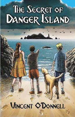 Vincent O'Donnell - Secret of Danger Island, Häftad