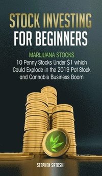 bokomslag Stock Investing for Beginners