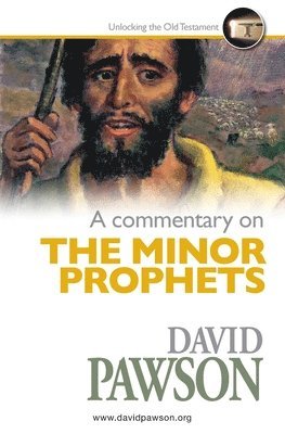 bokomslag Commentary on the Minor Prophets