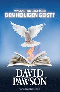 bokomslag Was Sagt Die Bibel ber Den Heiligen Geist?