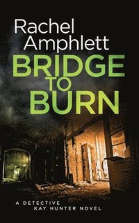 bokomslag Bridge to Burn