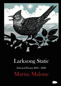 bokomslag Larksong Static