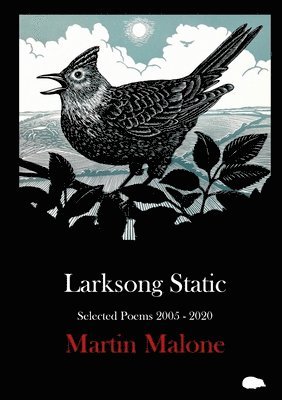 Larksong Static 1