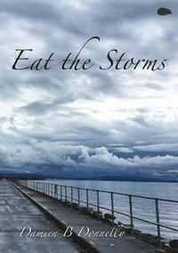 bokomslag Eat the Storms
