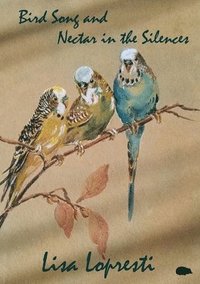 bokomslag Bird Song and Nectar in the Silences