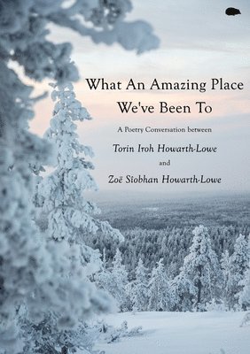 Torin Iroh Howarth-Lowe, Zoë Sîobhan Howarth-Lowe - What An Amazing Place We've Been To, Häftad. Tillgänglighet: Lägg i varukorg