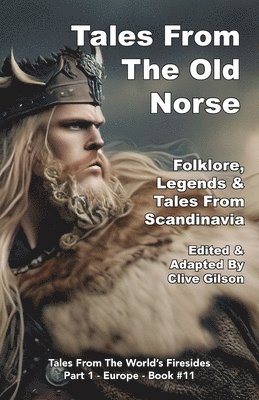 bokomslag Tales From The Old Norse
