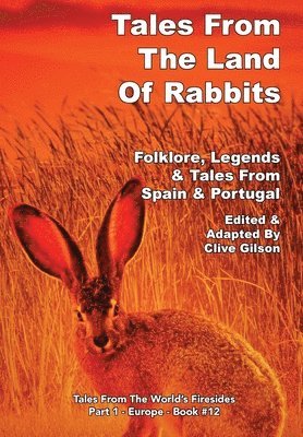 bokomslag Tales From The Land Of Rabbits
