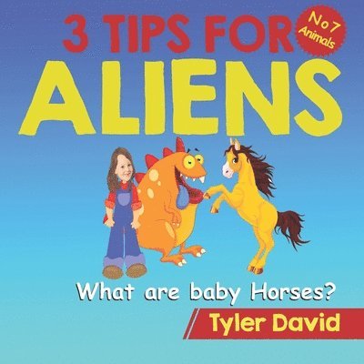 What are baby Horses?