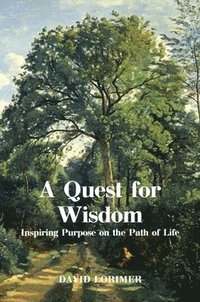 bokomslag A Quest for Wisdom