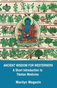 bokomslag Ancient Wisdom for Westerners