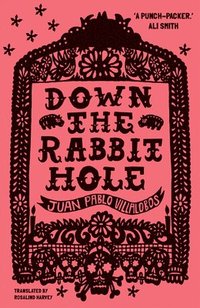 bokomslag Down the Rabbit Hole