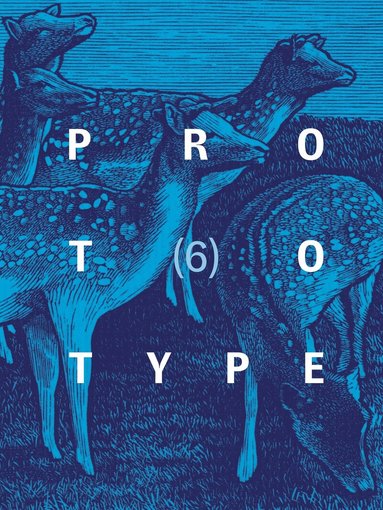 Jess Chandler, Rory Cook - PROTOTYPE 6, Häftad