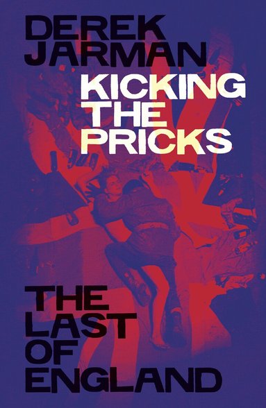 Derek Jarman - Kicking the Pricks, Häftad