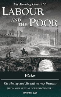 bokomslag Labour and the Poor Volume VIII