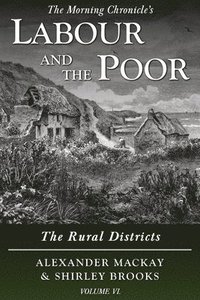 bokomslag Labour and the Poor Volume VI