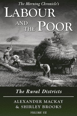 bokomslag Labour and the Poor Volume VII