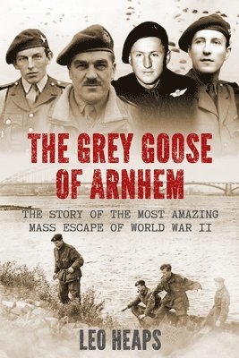 The Grey Goose of Arnhem 1