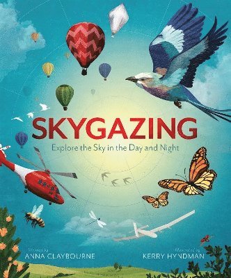 bokomslag Skygazing