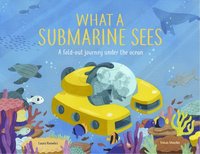 bokomslag What a Submarine Sees: A Fold-Out Journey Under the Waves