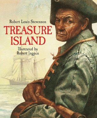 bokomslag Treasure Island