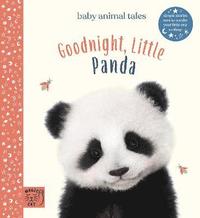 bokomslag Goodnight, Little Panda