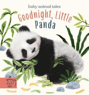 bokomslag Goodnight, Little Panda