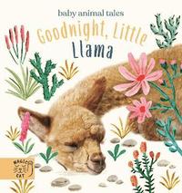 bokomslag Goodnight, Little Llama