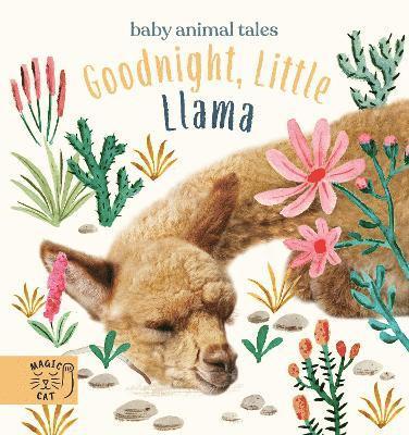 Amanda Wood, Bec Winnel - Goodnight, Little Llama, Inbunden