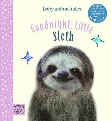 Goodnight, Little Sloth 1