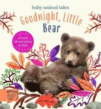 bokomslag Goodnight, Little Bear