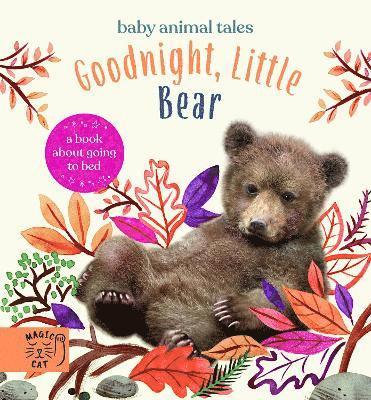 Goodnight, Little Bear 1