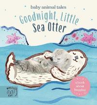 bokomslag Goodnight, Little Sea Otter