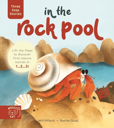 Will Millard - In the Rock Pool, Kartonnage
