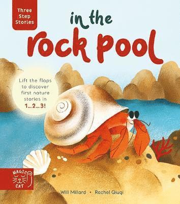 Three Step Stories: In the Rock Pool 1