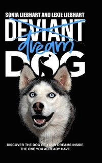 bokomslag Deviant Dog to Dream Dog