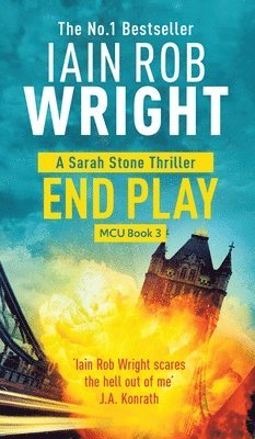 bokomslag End Play - Major Crimes Unit Book 3
