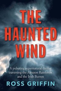 bokomslag The Haunted Wind