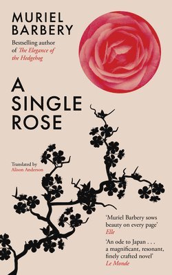 A Single Rose 1