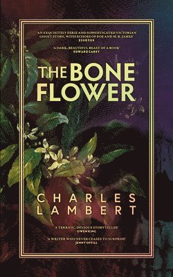 bokomslag Bone Flower