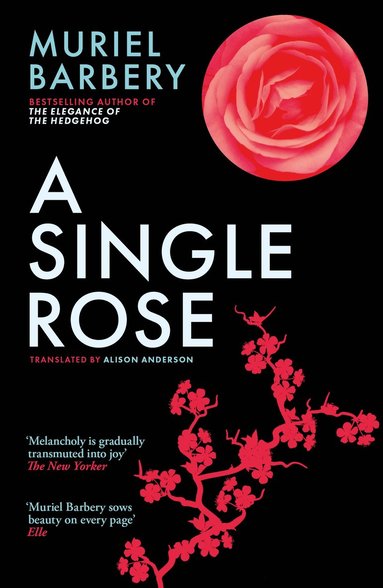 bokomslag Single Rose