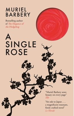A Single Rose 1