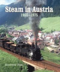 bokomslag Steam in Austria
