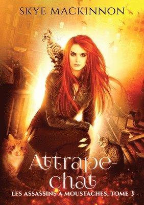 Attrape-chat 1