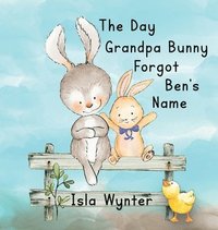 bokomslag The Day Grandpa Bunny Forgot Ben's Name