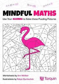 bokomslag Mindful Maths 1